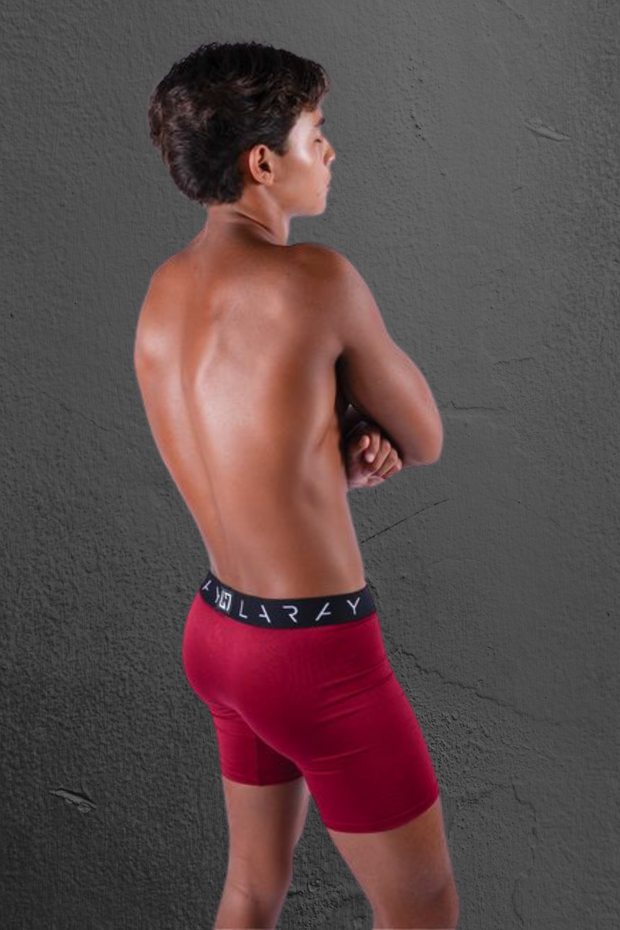 LARAY Burgundy Performance Briefs