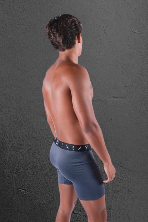 LARAY - Cement Performance Briefs