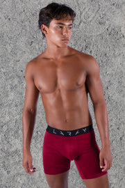 LARAY Burgundy Performance Briefs
