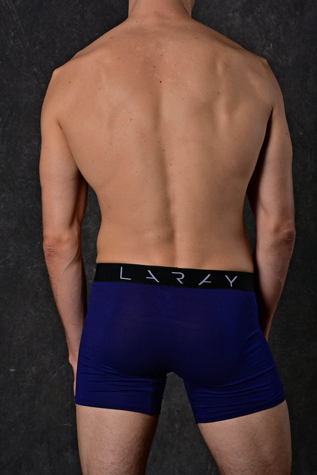 LARAY - Royal Jewles Performance Boxer Briefs for Men 50% OFF