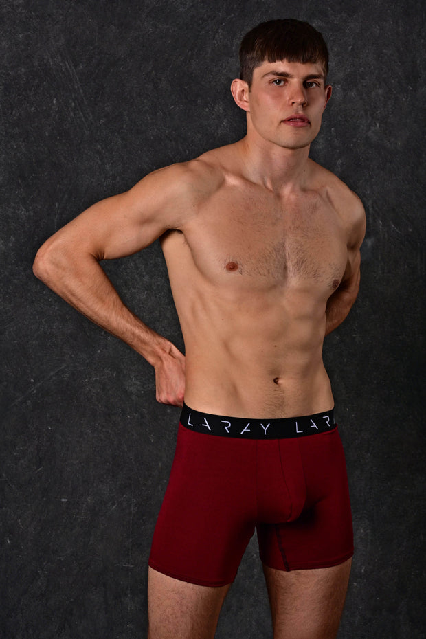 LARAY - Burgundy Performance Boxer Briefs for Men