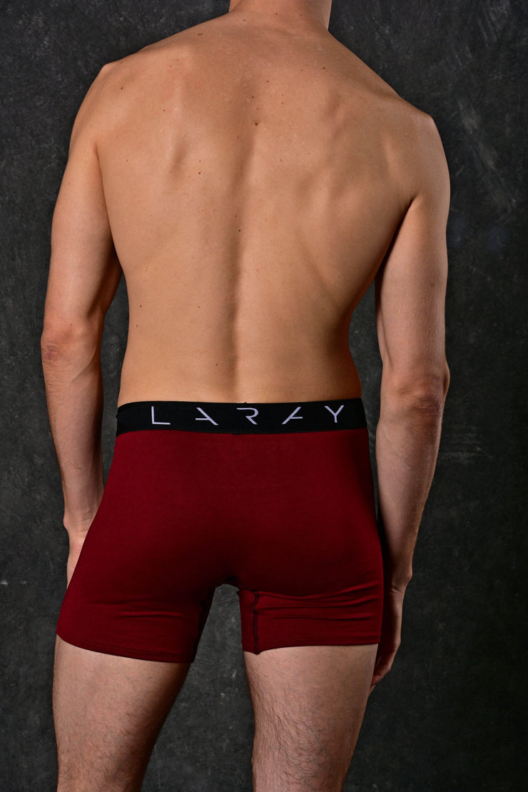 LARAY - Burgundy Performance Boxer Briefs for Men