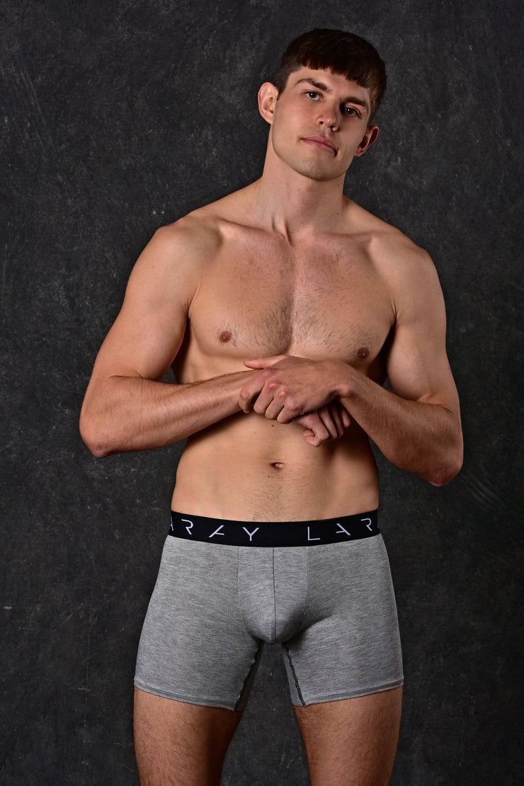 LARAY - Heather Grey Performance Boxer Briefs for Men 50% OFF