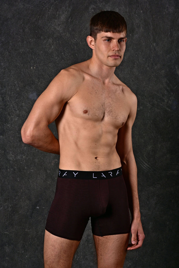 LARAY - Brown Performance Boxer Briefs for Men 50% OFF