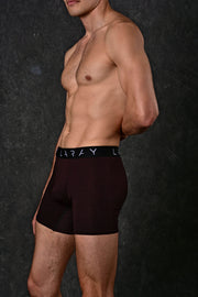 LARAY - Brown Performance Boxer Briefs for Men