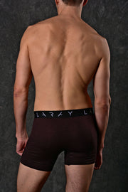 LARAY - Brown Performance Boxer Briefs for Men 50% OFF